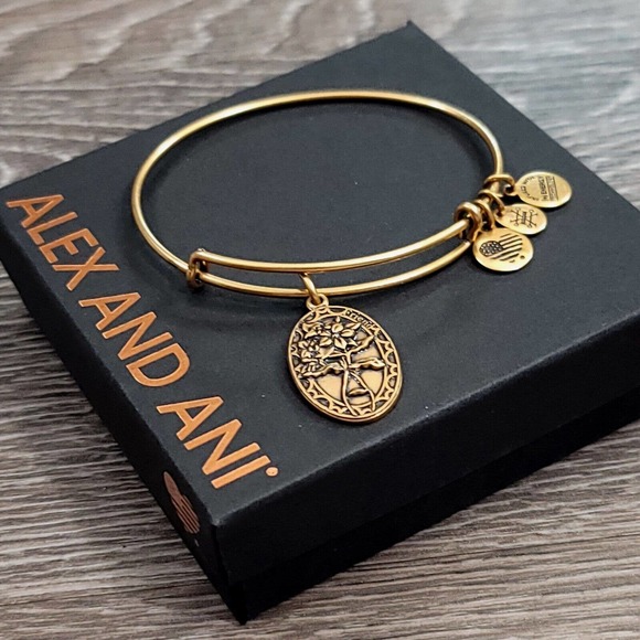 Alex and Ani Because I Love You Friend II Charm Bracelet - Picture 8 of 13